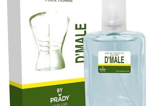 CARTON DE 24 - DMALE POUR HOMME DE PRADY