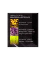 CARTON DE 24 - L HOMME NUIT DE PRADY POUR HOMME - PARFUM GENERIQUE - Image 2
