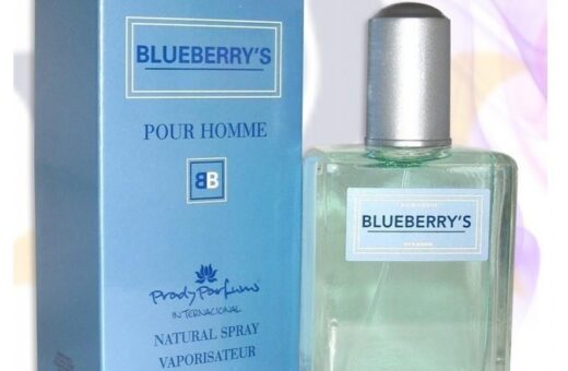 CARTON DE 24 - BLUEBERRY'S DE PRADY POUR HOMME - PARFUM GENERIQUE