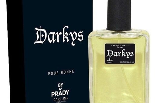 CARTON DE 24 - DARKYS HOMME DE PRADY