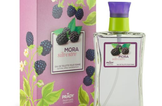 CARTON DE 24 - MURE SAUVAGE DE PRADY  - PARFUM GENERIQUE