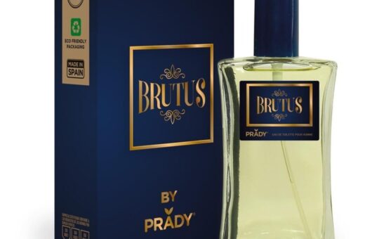 CARTON DE 24 - BRUTUS DE PRADY POUR HOMME - PARFUM GENERIQUE