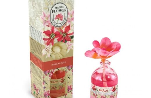 CARTON de 12 - Rose Parfumée "Belle epoque" - PRADY