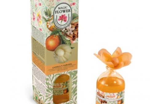 CARTON de 12 - Rose Parfumée "Canelle/Orange" - PRADY