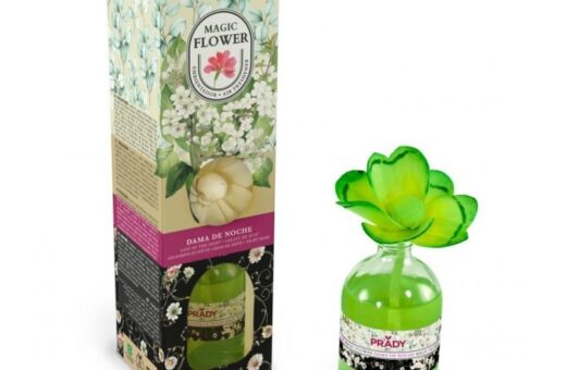 CARTON de 12 - Rose Parfumée "Dame des nuits" - PRADY