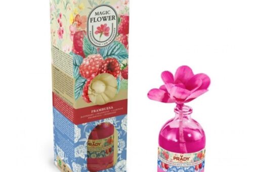 CARTON de 12 - Rose Parfumée "Framboise" - PRADY