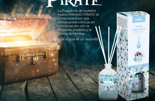 CARTON de 12 - Mikado senteur "PIRATE" parfum ambiance Prady - 100 ML