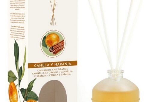 CARTON DE 12 MIKADO "CANELLE/ORANGE"  PRADY