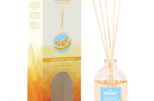 CARTON DE 12 MIKADO "ORANGE FLASH"  PRADY