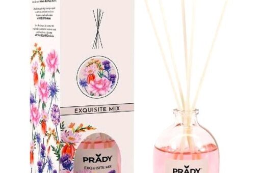 CARTON DE 12 Mikado "EXQUISITE MIX"  Prady
