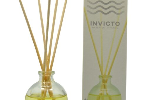 CARTON DE 12 MIKADO "INVICTO" D'AMBIANCE NATURMAIS / SUNSET WORLD