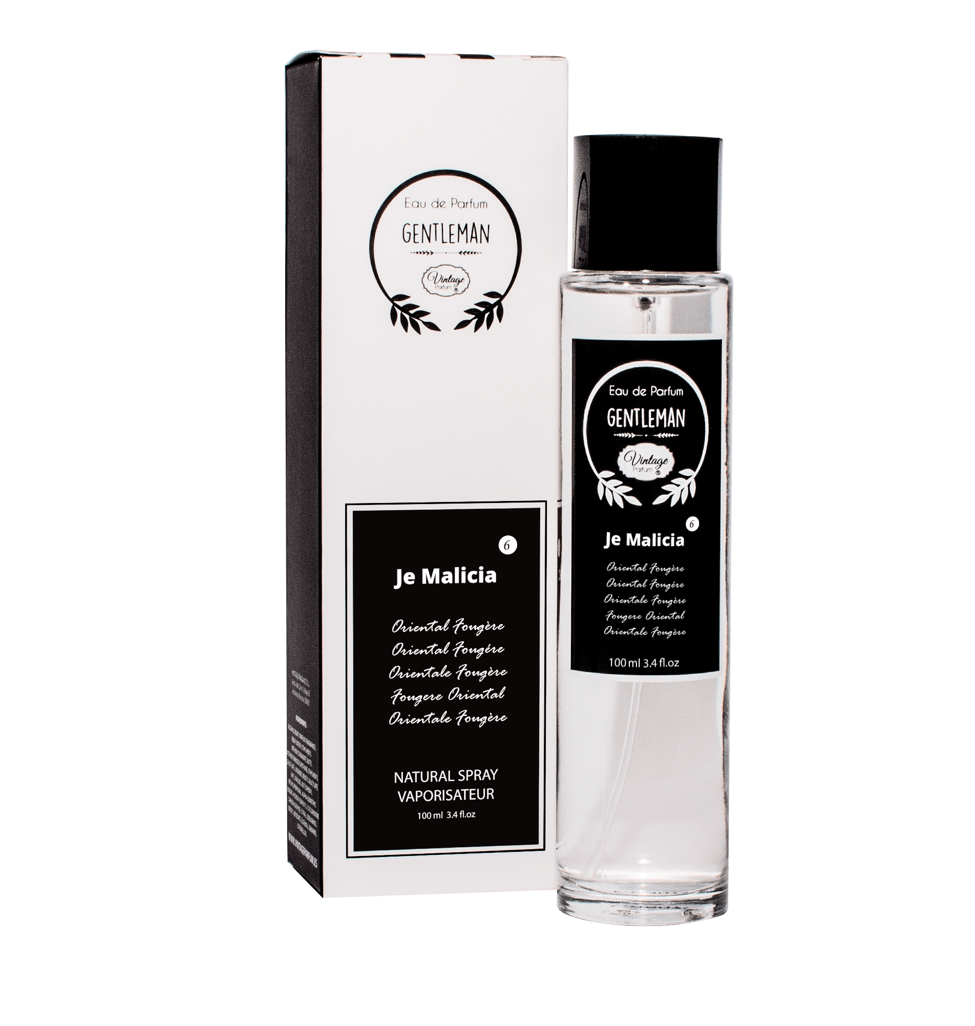 930.png Carton de 12 JE MALE VINTAGE EDP - 100ml VINTAGE PARFUMS - Image 1