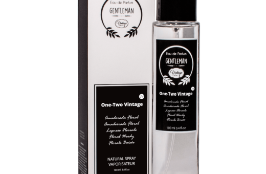 Carton de 12 TIERRA 100ml - VINTAGE PARFUMS